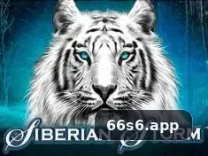 66s6 visual 1